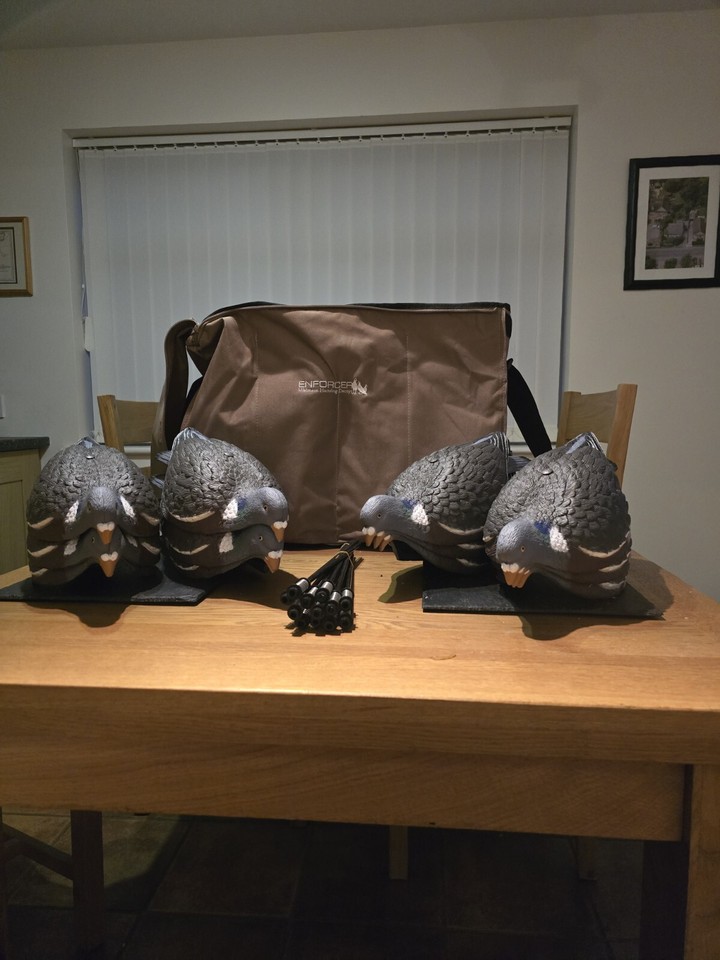 Enforcer Wood Pigeon Shell Decoys and two enforcer floaters +bag eBay