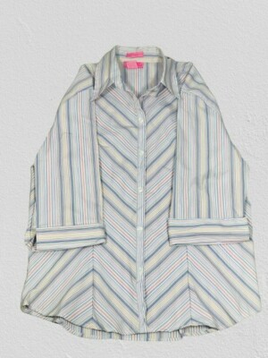 She s Cool Stretch 1X Plus Collared Blouse  3/4 Sleeve w/ Pastel Colored Stripes