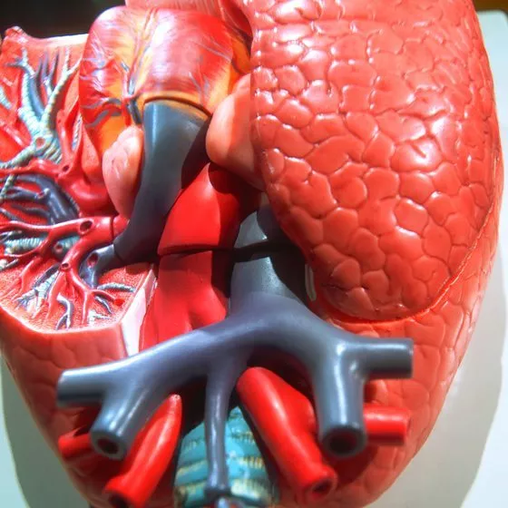 Vitamin A Liquid - Norwegian Cod Liver Oil 600mg - Metabolism Boost Softgel 2B - Image 4 of 4