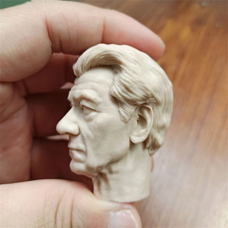 1/6 Magneto Ian McKellen неокрашенная голова скульптура для 12'' мужской фигуры тела новый - Изображение 2 из 4