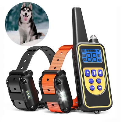 Collar de Entrenamiento para Perros Impermeable 800M Recargable Descarga Eléctrica Pantalla LCD NUEVO