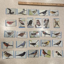 Vintage 1957 Quaker Pack-O-Ten Bird Cards Lot Of 26 Crow, Owl, Bald Eagle, Hawk