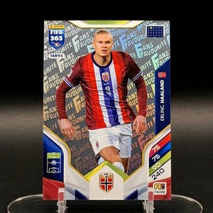 Maillot Norvège HAALAND 2024/2025 Extérieur