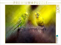 "Calvendo Puzzle An Image From The \"Beautiful Budgerigar\" Calendar | 1000 Pieces,"