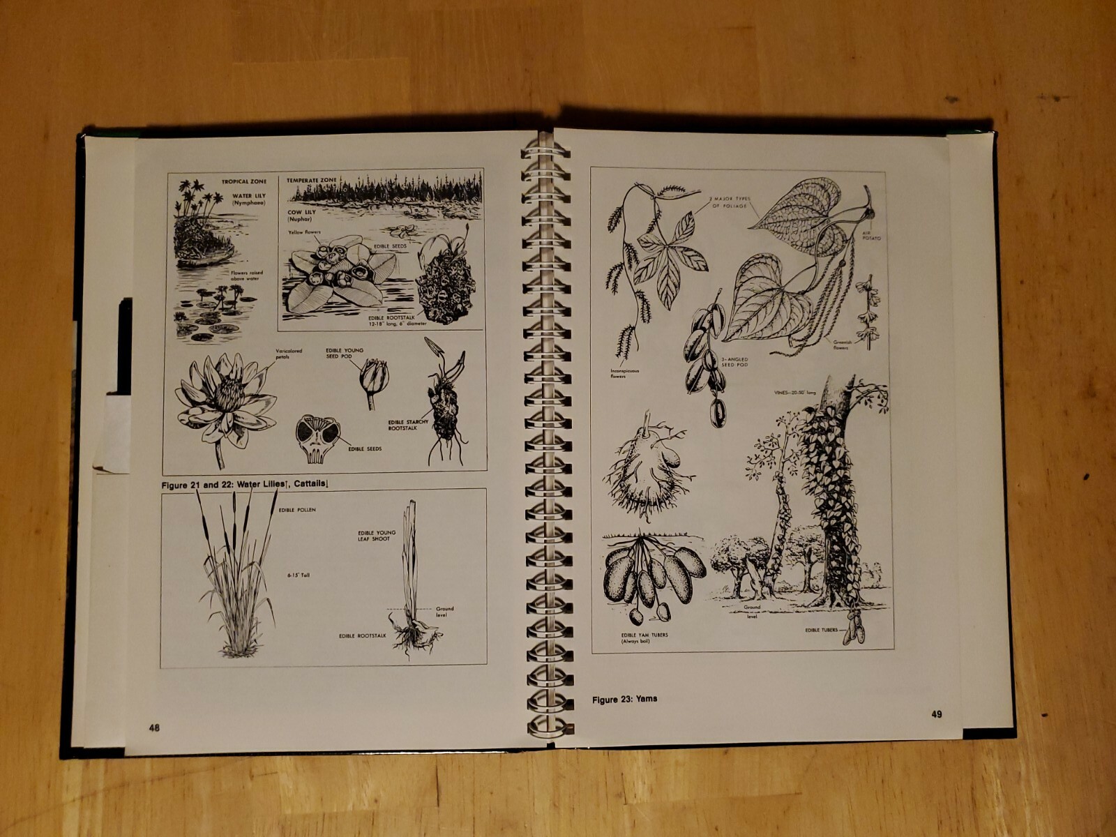 Picture 3 of 5