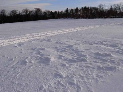 Photo 6x4 Patterns in the snow Hexham Patterns have been formed in the cr c2010
