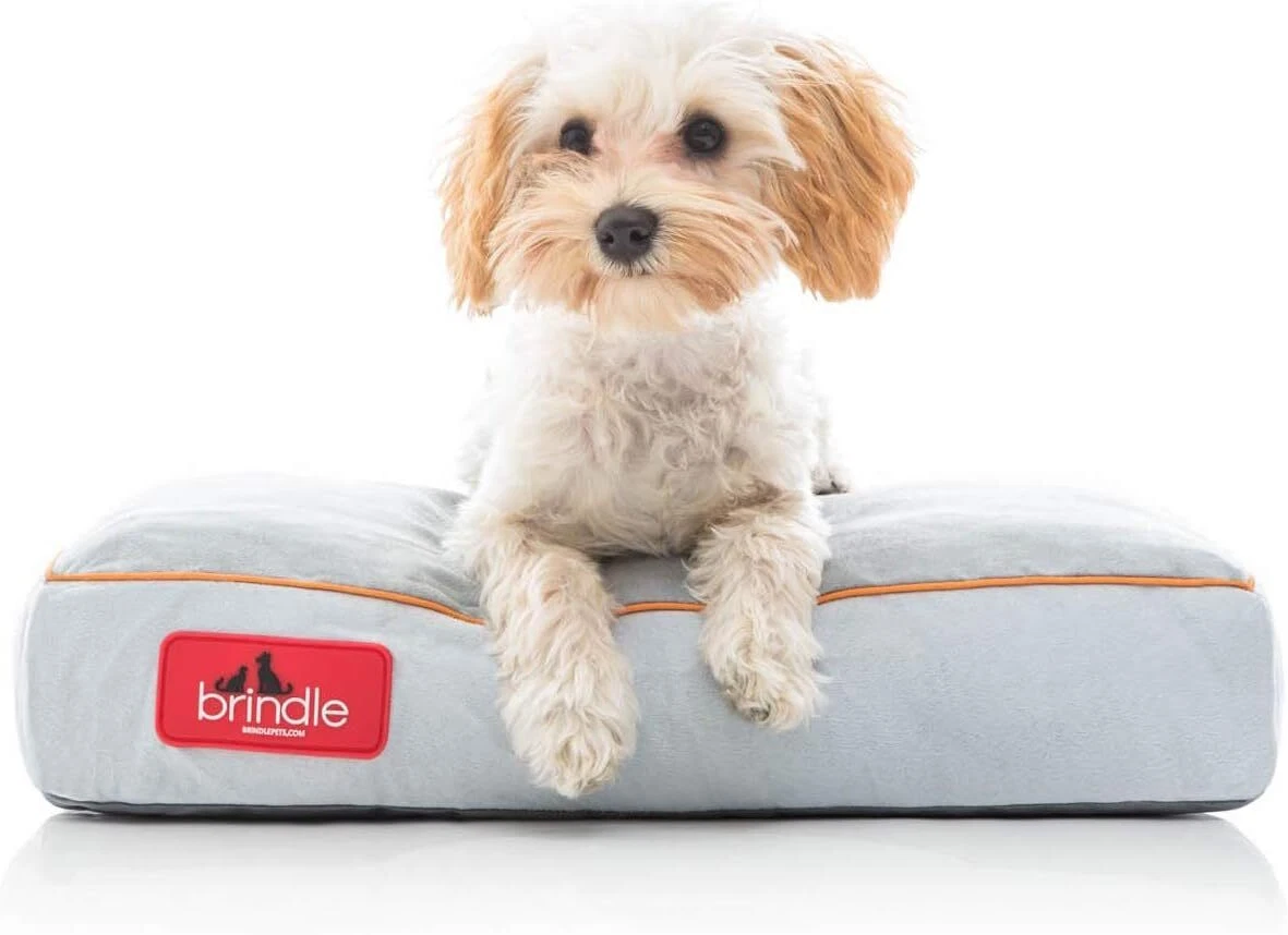 Cama perro viscoelastica new arrivals