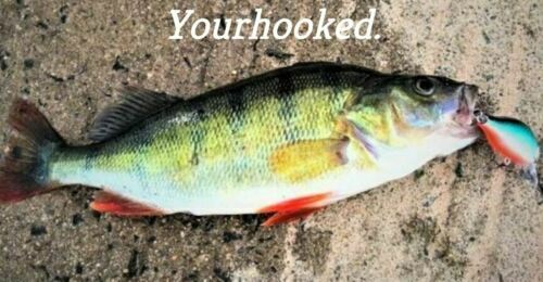 Leurre dur jerkbait truite jackson kanade 6cm 8g - Jerkbaits pêche à la