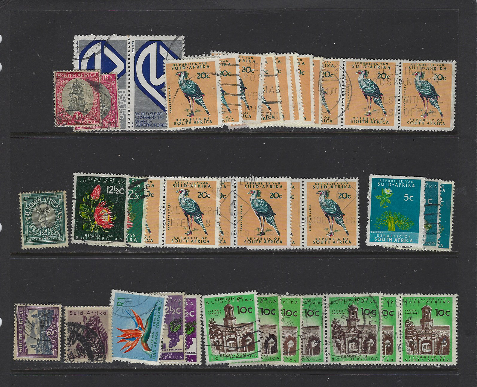 Foto 2 di 2