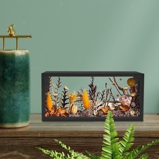 Shadow Box Frame Photo Frame Dried Flower Display Box for Art Medal Flowers