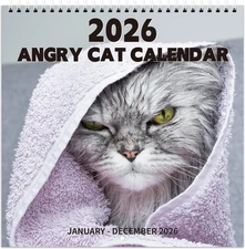 2026 Calendar - 2026 Wall Calendar, Pi-D-Off Cats Calendar 2026, Jan. 2026 - Dec