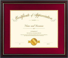 15X18 Gold  Burgundy Color Document Frame for 11X14 Diploma/Certificate/Picture