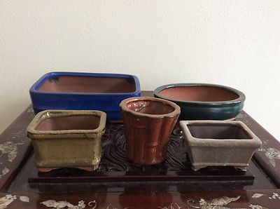 Japanischer neuer Bonsai Topf 5 Stück / FARBIG / [ 4 ]