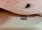 Bild 4 von 9