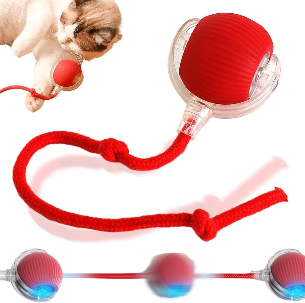 2024 New Interactive Rolling Dog Ball, Self Rolling Dog Ball Interactive Cat Toy