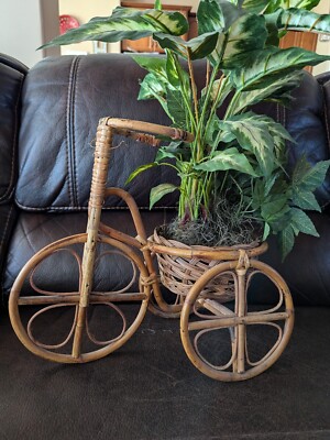driftwood plant hanger Double Driftwood Air Plant Hanger