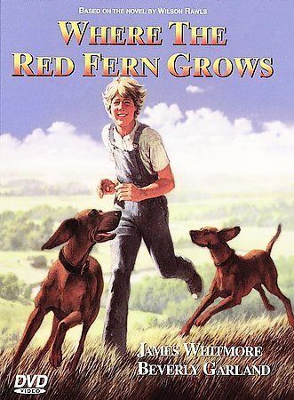 where the red fern grows full movie 2003 free