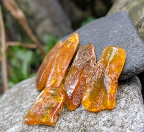 Lote de 5 piedras ámbar báltico natural pulidas caramelo coñac al por mayor - Imagen 4 de 10