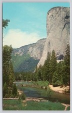 Yosemite National Park El Capitan Postcard Dana Morgenson Curtichcolor
