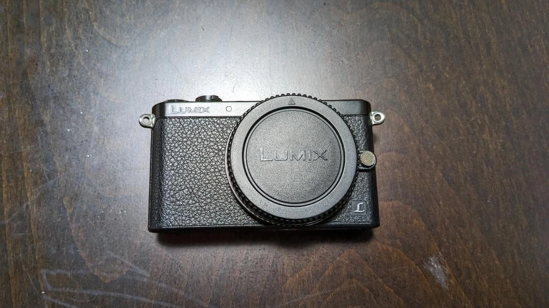 Panasonic Lumix DMC-GM1 16MP Mirrorless Digital Camera w/ Charger