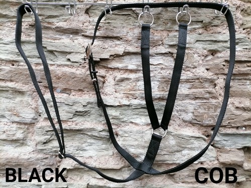 web RUNNING MARTINGALE Small pony, Pony, Cob, F/S synthetic WEBBING all colours - Picture 12 of 52
