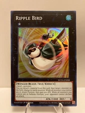 Yu-Gi-Oh! TCG  Ripple Bird SUDA-EN088  Supreme Darkness Super Rare 1st Ed NM