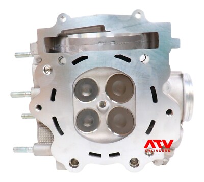 New Genuine 2009-2014 Yamaha Grizzly 550 FI EPS Cylinder Head