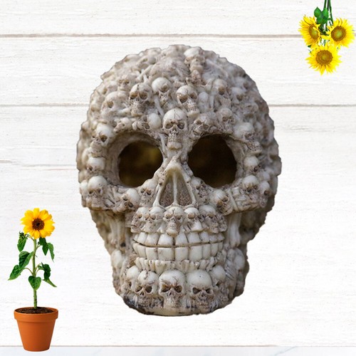Skull Aquarium Ornament Aquarium Skull Skull Habitat points de vente Decor Shrimp Hideout
