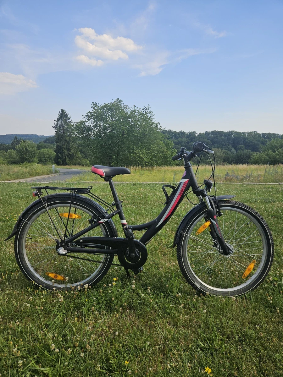 fischer e-bike trekking viator 2.0 test women's electric bike, dark anthracite matt, 28 inches, RH 44 cm, 45 Nm rear motor, 48 V/422 Wh battery Sports & Outdoors Citybike 28