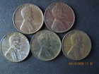 1946 LINCOLN WHEAT PENNY - SET of 5 COINS