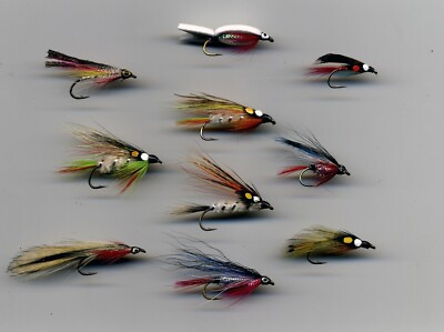 Trout Flies: Trout Flies: Fry Patterns x Size 10 assorted (code 246C)  UK
