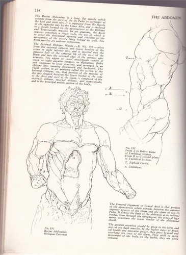 1876 ~ ART ANATOMY by William Rimmer ~ Dover Edition First Published USA 1972 - Picture 7 of 12