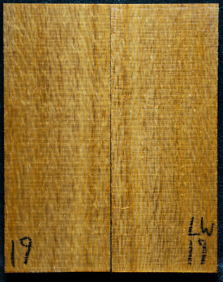 Lacewood #19 Knife Scales 5''x 2''x 7/16'' see 100 species in my store