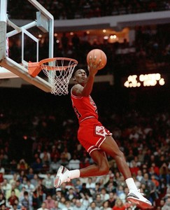 michael jordan air jordan dunk