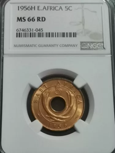 East Africa 5 Cents 1956  NGC-66 RD TOP POP