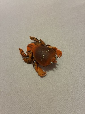 Bandai Gashapon - The Diversity Of Life On Earth Shellfish 1 (Model F Ranina)