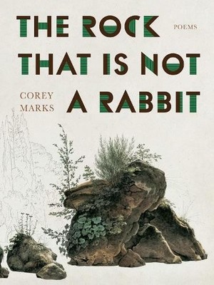 Rock That Is Not a Rabbit, The by Corey Marks - 9780822967156