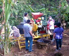GUATEMALAN ANTIGUA COFFEE BEANS MEDIUM ROASTED 2 POUNDS IN 1 POUND BAGS