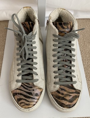 p448 star white zebra