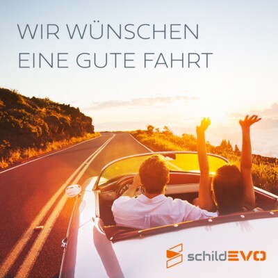 SchildEVO Carbon Kennzeichen - Amtliches EU Nummernschild 42 Cm