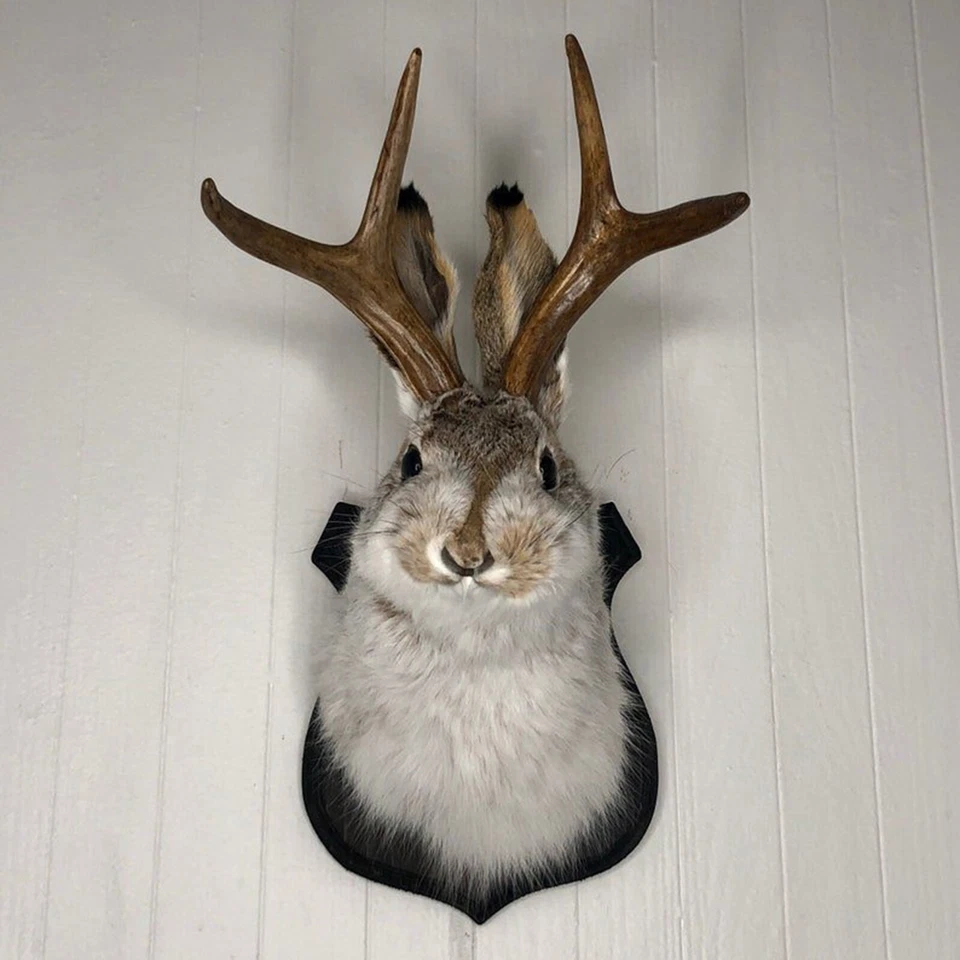 Jackalope Bunny Head Antlers Wall Hanging Decor Animal Wall Mount for Home Decor - image 2 of 4