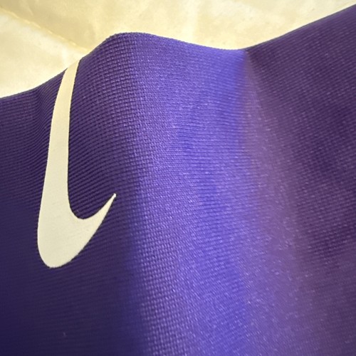 Minnesota Vikings Andrew Van Ginkel Nike NFL Jersey Size L NWOT - Picture 6 of 11