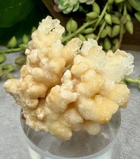 Crystal 64g Coral Calcite Stalactite Sparkle Cluster Specimen Mineral Raw