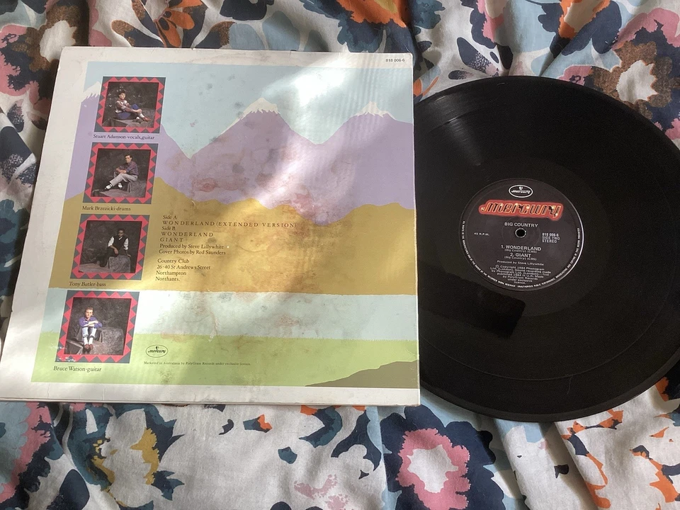 "Vinilo individual Big Country Wonderland 12""" Foto 2 de 2