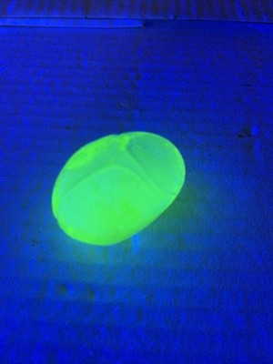 VINTAGE 1960 s VASELINE SOLID GLASS SCARAB BEETLE EGYPTIAN GLOWS