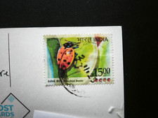 Tarjeta India con escarabajo, India ladybird 2017 on card