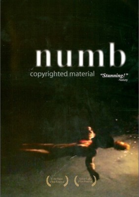 Numb (DVD, 2007) Peter Macon, Anne Goldmann, Andrew Ableson, Dominik Overstreet 