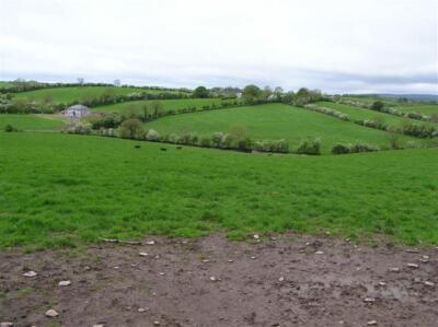 Foto 6x4 Stroancarbadagh Townland Blackfort Blick nach Westen um 2007
