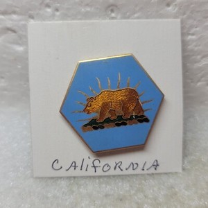 VTG California National Guard United States Army Bear Insignia Pin DUI DI Crest