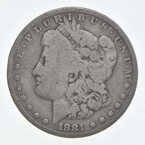 1881-P Morgan Dollar — photo from another recent sale
